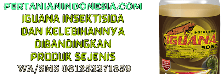 iguana,insektisida,iguana 50 ec,insektisida iguana,pertanian indonesia